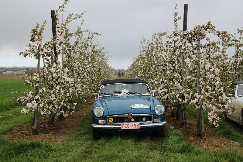 MG Bloesemrit op 24-4-2016 org. Jos&Marie-lou  (284).JPG
